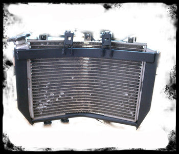 Racing 905 Radiator Armor | Tacticalmindz.com