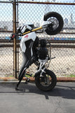 On-Point Performance 2014-2021 Honda Grom Sub Cage w/ Titanium Scrape Bar