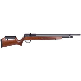 Benjamin Marauder 22cal PCP Wood Stock